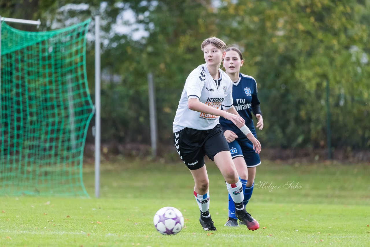 Bild 234 - B-Juniorinnen SV Henstedt Ulzburg - Hamburger SV : Ergebnis: 2:3